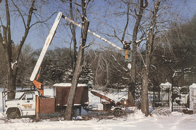 Truck with picker/bucket arm and workers cutting trees, late 20th century in appearance